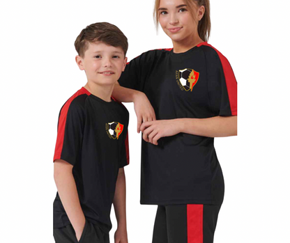 Afan United Training T-Shirt