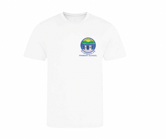 Blaenbaglan Primary School PE T-Shirt – Multiple Colours